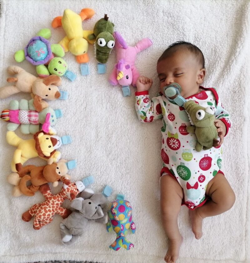 عروسک پستانک (Snuggle) مدل حیوانات AST320 - تصویر 2